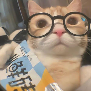 Meet your Posher, Vi